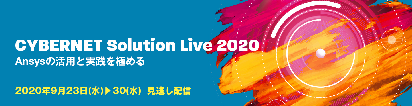 CYBERNET Solution Live 2020